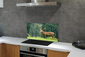 Panel nad Blat Kuchenny Jeleń na Otwartym Polu