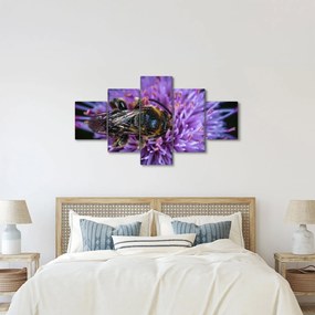 Obraz pszczoły na kwiatku (125x70 cm)