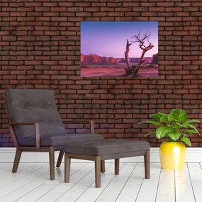 Obraz na szkle drzewa w pobliżu czerwonych skał (70x50 cm)