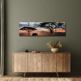Obraz - Park Narodowy Serengeti, Tanzania, Afryka (170x50 cm)