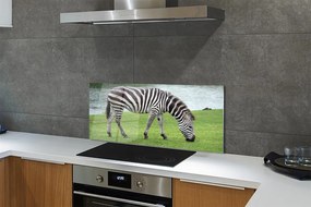 Szklany Panel Zebra