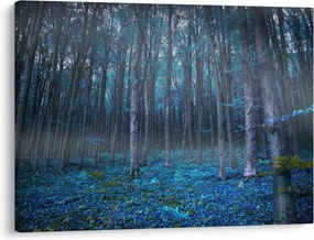 Obraz - Magiczny las (70x50 cm)