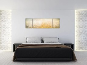 Obraz - Pole jesienią (170x50 cm)