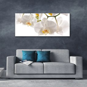 Obraz Canvas Orchidea Kwiaty Natura