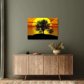 Obraz na szkle sylwetki drzewa (70x50 cm)