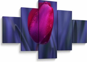 Obraz pąka tulipana (125x70 cm)