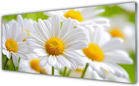 Panel nad blat kuchenny Białe Stokrotki w Polu