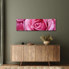 Obraz róży (170x50 cm)