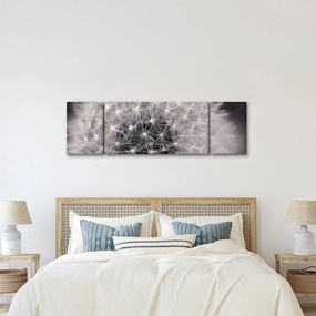 Obraz dmuchawca (170x50 cm)