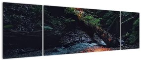 Obraz górskiej rzeki (170x50 cm)