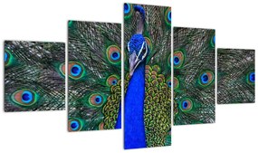 Obraz - Paw (125x70 cm)