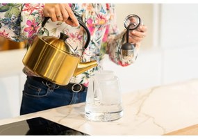 Czajnik ze stali nierdzewnej w kolorze złota 1,5 l Diamante – Vialli Design