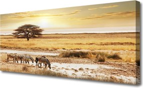 Duży obraz na płótnie Zebry na Afrykańskiej Sawannie