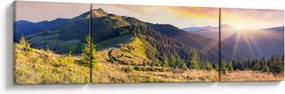 Obraz - Krajobraz leśny (170x50 cm)