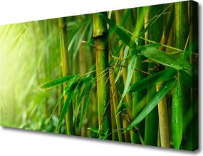 Obraz na płótnie Świeże Pędy Zielonego Bambusa