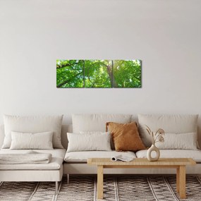 Obraz - Las (z zegarem) (90x30 cm)