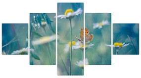 Obraz - Motyl na stokrotce (125x70 cm)