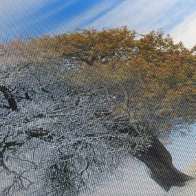 Obraz - Zmiana pór roku (z zegarem) (90x30 cm)