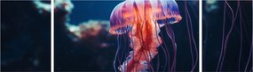 Obraz - Meduza (170x50 cm)