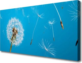 Obraz canvas na ścianę Ulotność Polnych Dmuchawców