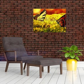 Obraz na szkle - motyle (70x50 cm)
