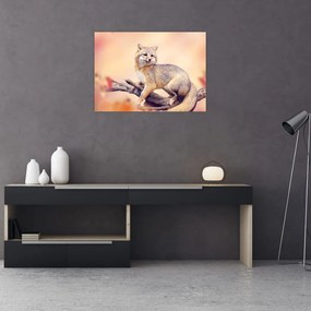 Obraz - Lis (70x50 cm)