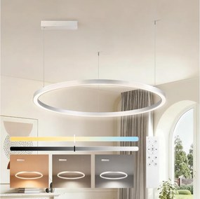 Brilagi-LED Ściemnialna lampa wisząca na linkach PORTOFINO LED/60W/230V Ø 80 cm srebrna + pilot