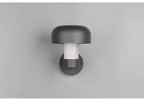Zewnętrzna lampa ścienna (wysokość 24,5 cm) Fraser – Trio