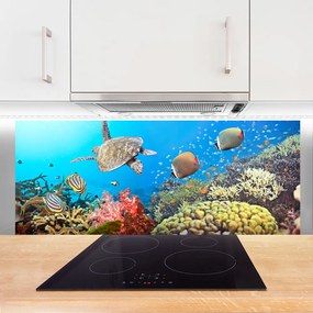 Panel Kuchenny Kolorowe Życie Rafy Koralowej