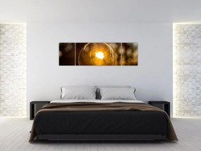 Obraz - Przezroczysta bańka (170x50 cm)
