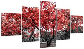 Obraz - Czerwone drzewa, Central Park, New York (125x70 cm)