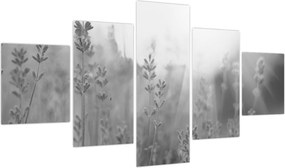 Obraz - Lawenda (125x70 cm)