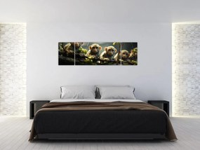 Obraz - Małpy (170x50 cm)