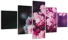 Obraz kwiatów drzewa (125x70 cm)