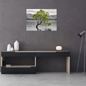 Obraz na szkle drzewa na środku jeziora (70x50 cm)