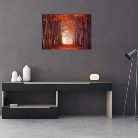 Obraz - Jesienny las (70x50 cm)