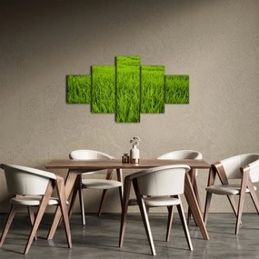 Obraz trawy (125x70 cm)