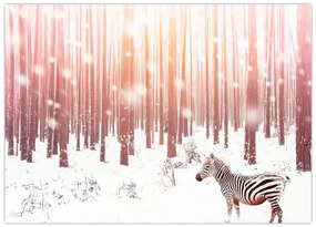 Obraz - Zebra w śnieżnym lesie (70x50 cm)