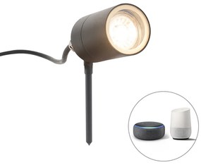 Zewnetrzna Inteligentny Nowoczesny reflektor na szpikulec antracyt IP44 z WiFi GU10 - Solo Nowoczesny Oswietlenie zewnetrzne