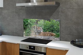 Szklany Panel Tygrys w Sercu Lasu