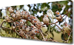 Obraz na płótnie Ptaki w Locie nad Lasem