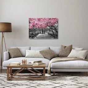 Obraz na szkle drzew magnolii (70x50 cm)
