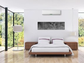 Obraz - Wiejska łąka (170x50 cm)