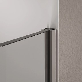 Ścianka prysznicowa Walk-In EX102