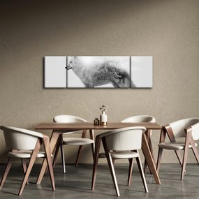 Obraz - Wilk arktyczny odzwierciedla dziki krajobraz (170x50 cm)