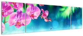Obraz - Orchidea (170x50 cm)