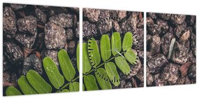 Obraz zielonej rośliny (z zegarem) (90x30 cm)