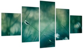 Obraz - Szczegół trawy (125x70 cm)