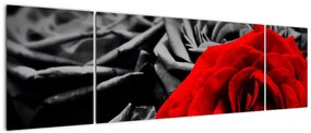 Obraz - Kwiaty róży (170x50 cm)