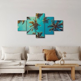 Obraz - Wysokie palmy (125x70 cm)